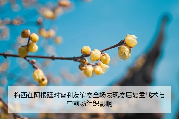 mei-xi-zai-a-gen-ting-dui-zhi-li-you-yi-sai-quan-chang-biao-xian-sai-hou-fu-pan-zhan-shu-yu-zhong-qian-chang-zu-zhi-2-792.jpg